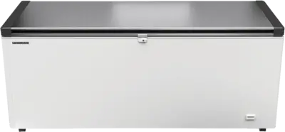 Liebherr EFL 6056-21