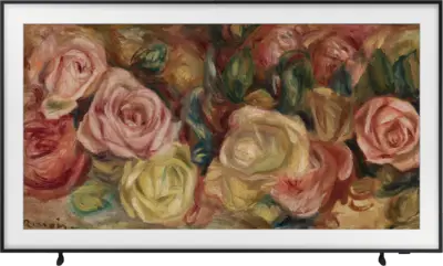 Samsung QE65LS03DAUXXN